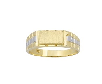 Gold mens ring in 14K