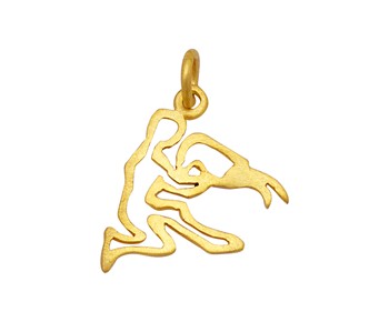 Gold horoscope pendant aquarius in K14
										